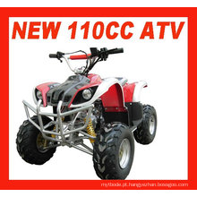 QUADRO MINI 110CC ATV (MC-313)